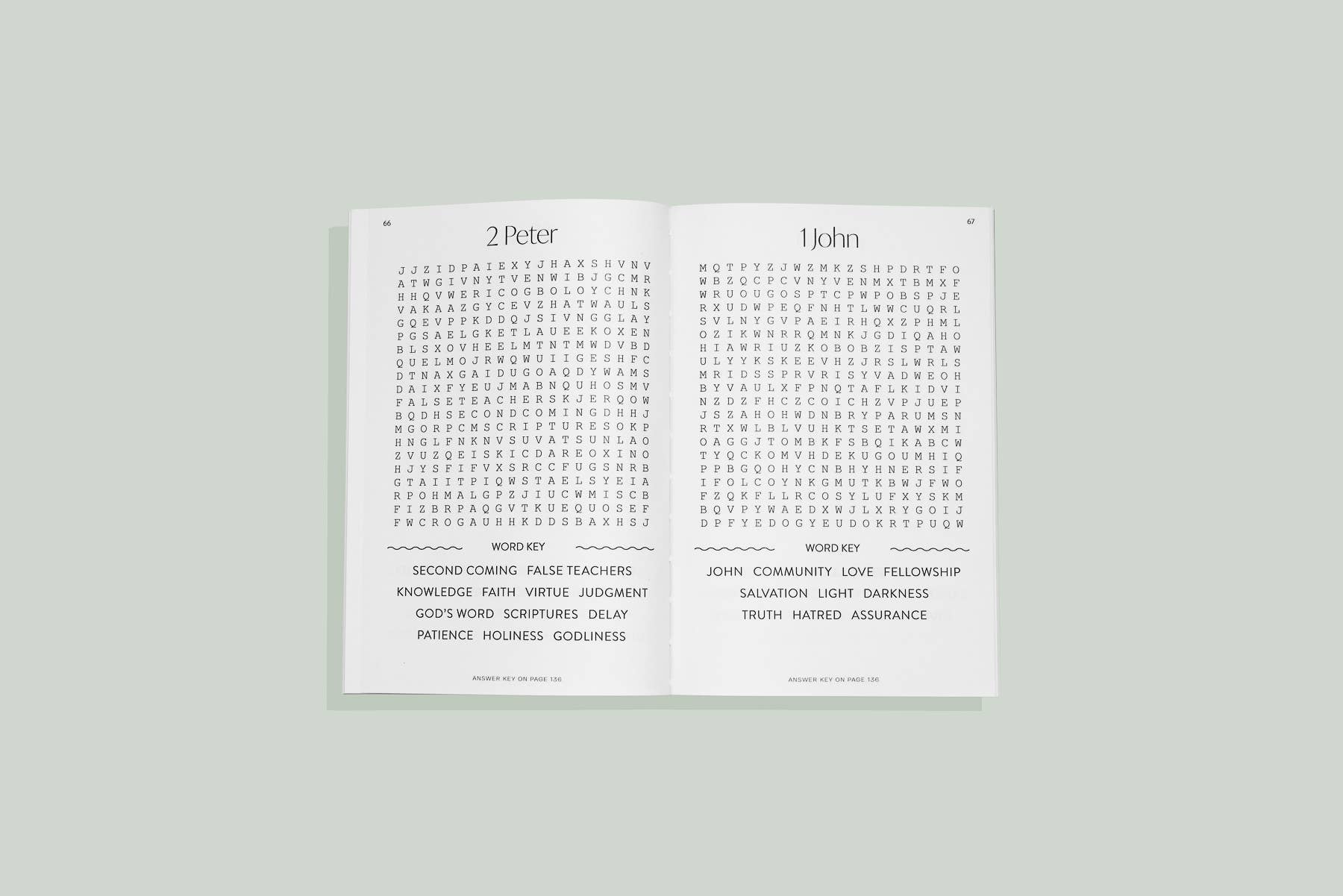 Bible Word Search for Adults