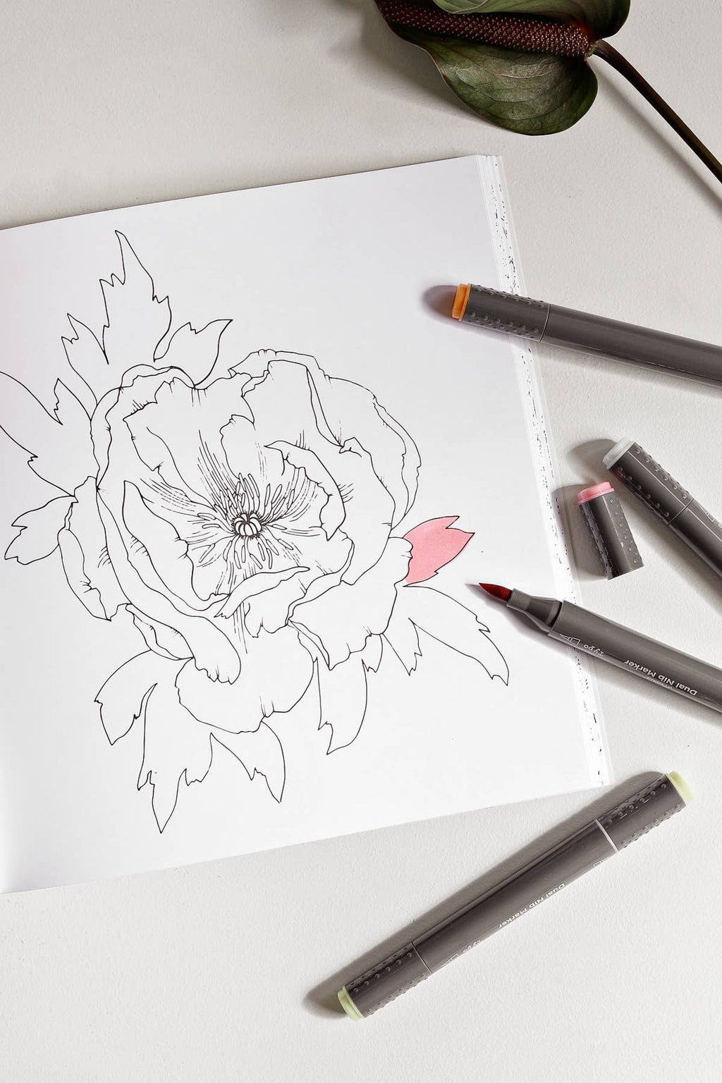 The Plant Lady: A Floral Adult Coloring Book