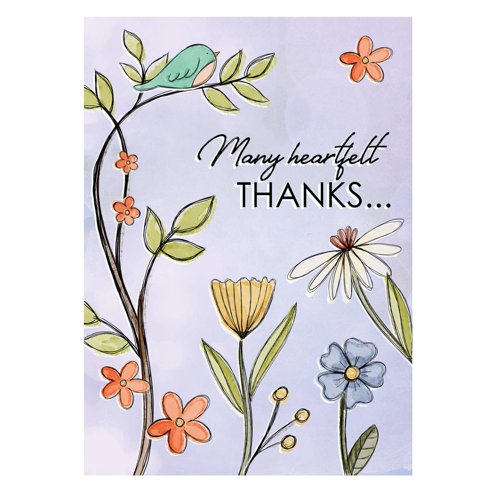 Boxed Cards: Thank you, Bird on Branch Set of 12