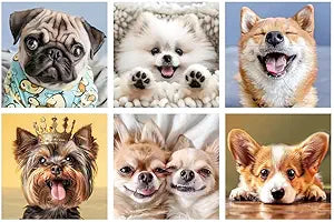 6 Pack Diamond Painting Kits for Adults – Cute Dogs