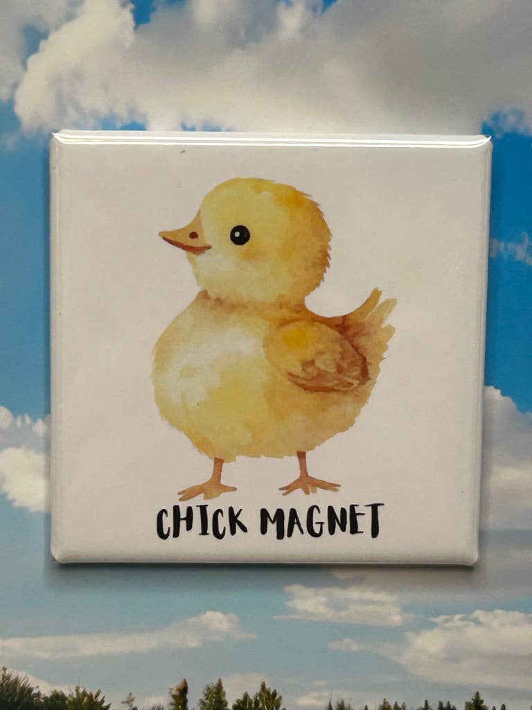 Chick Magnet