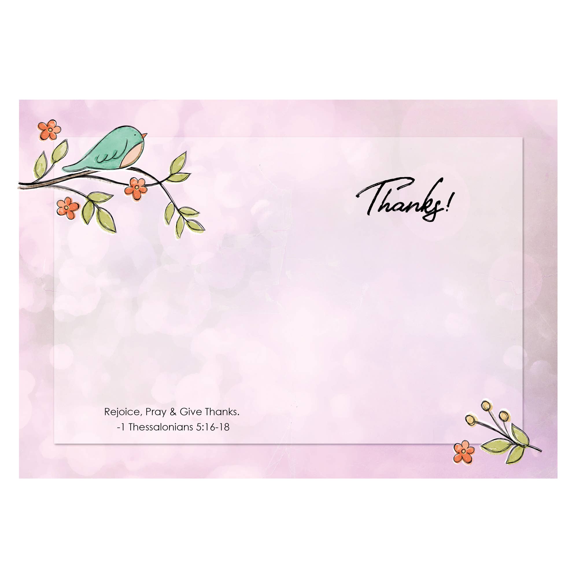 Boxed Cards: Thank you, Bird on Branch Set of 12