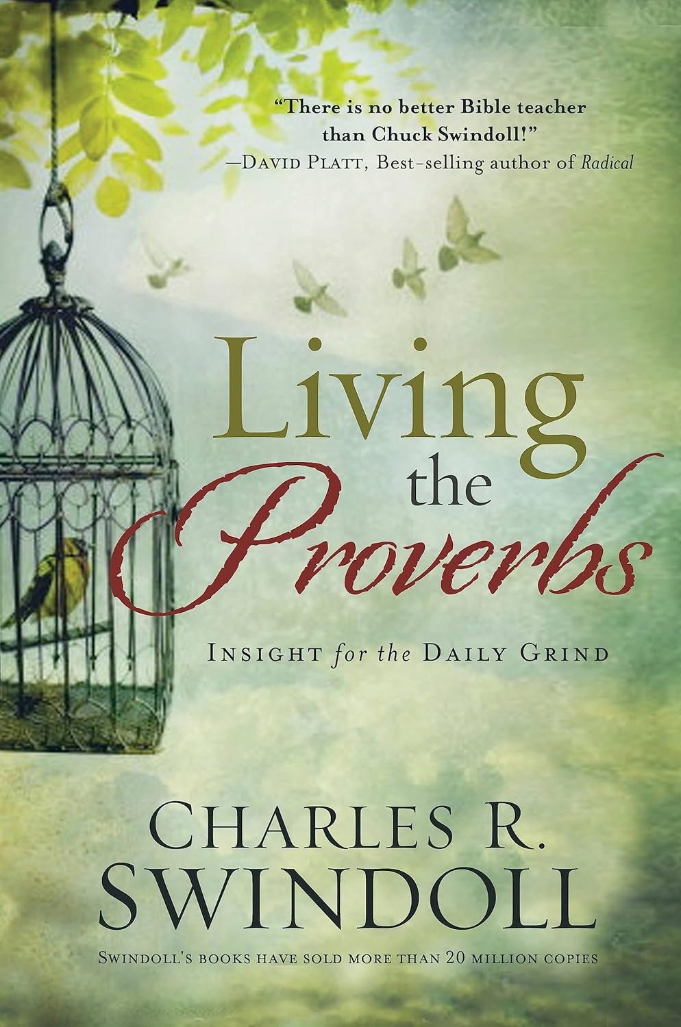 Living the Proverbs: Insights for the Daily Grind Paperback