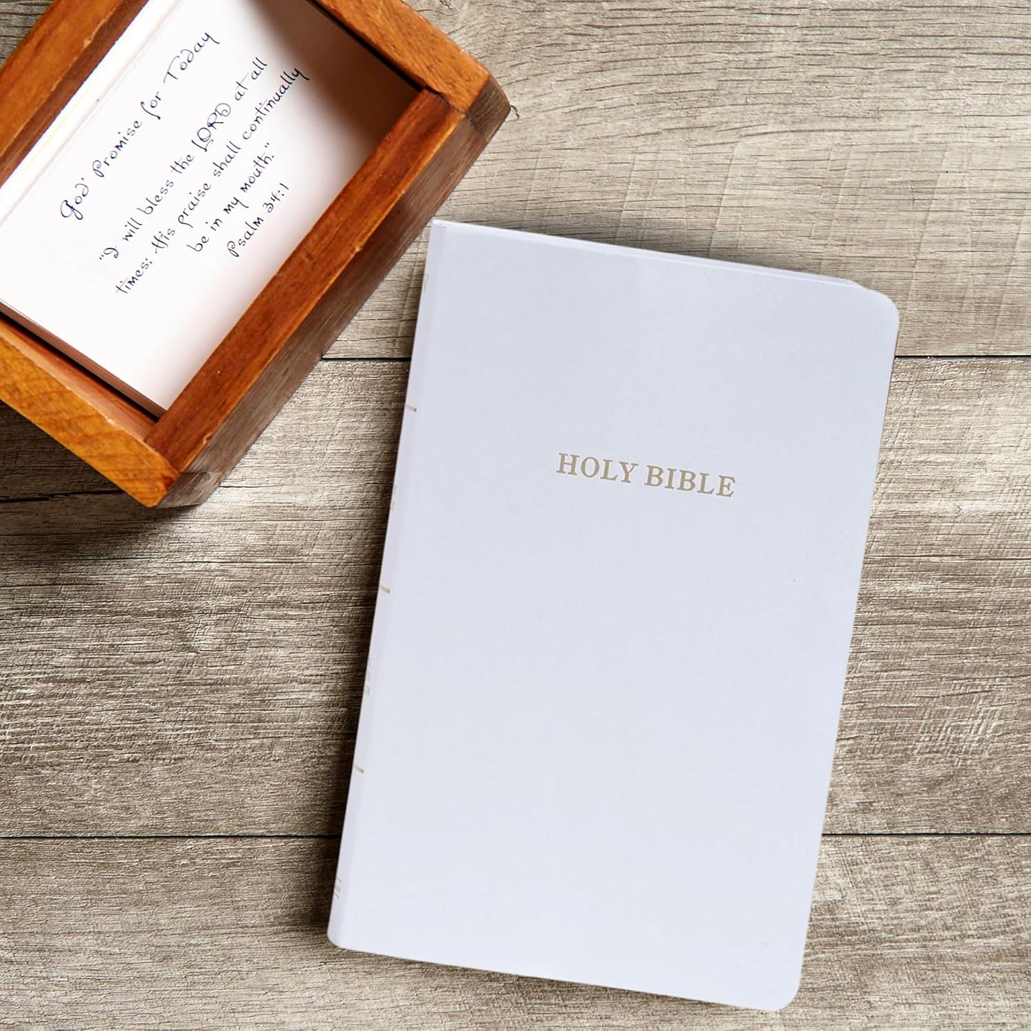 KJV Gift and Award Bible, White Imitation Leather, KJV Holy Bible