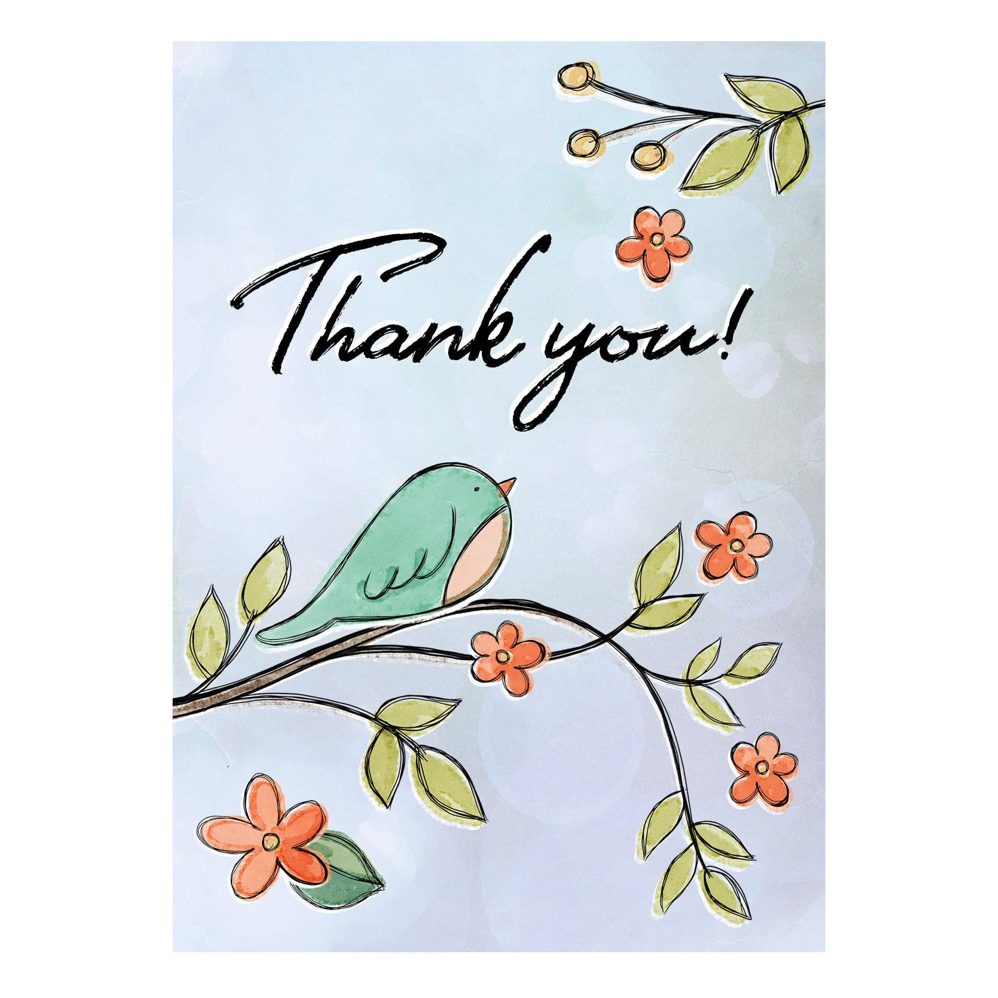 Boxed Cards: Thank you, Bird on Branch Set of 12