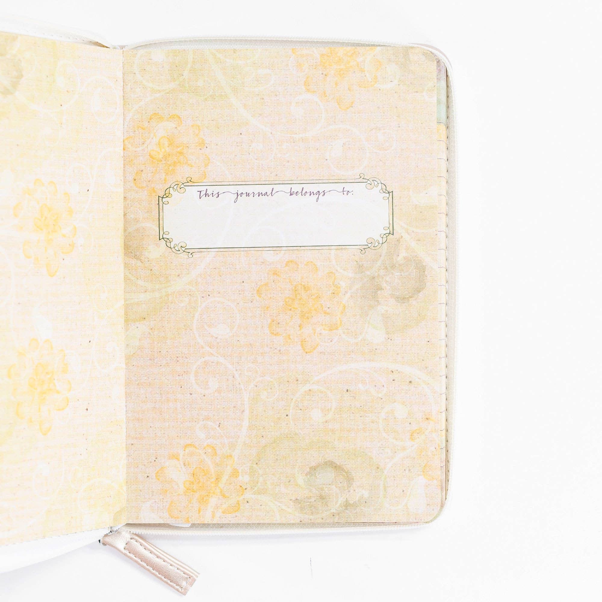 Divine Details: Thy Comforts Journal