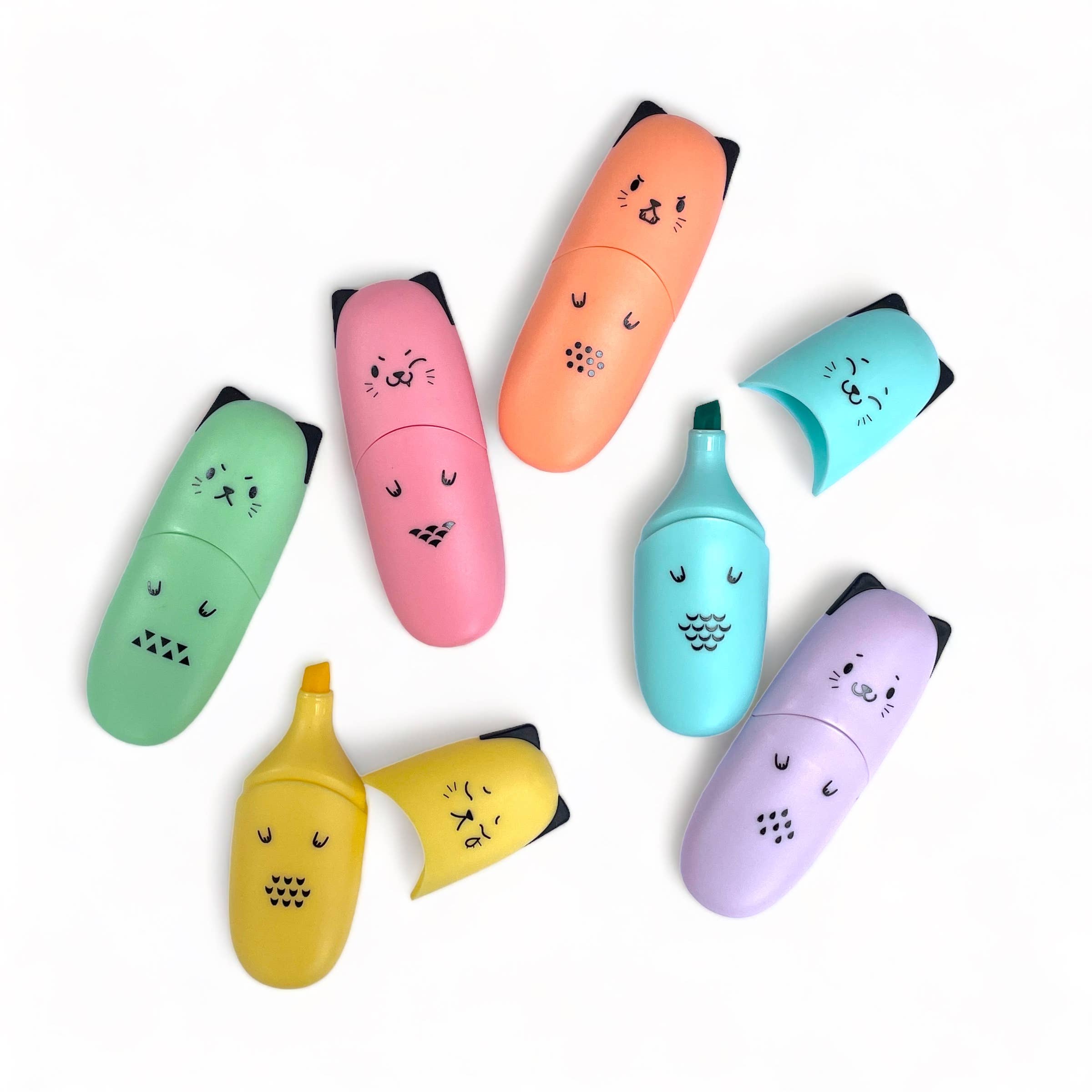 Markers Chisel Tip Fine/Broad Coloring Mini Highlighter Animal Faces