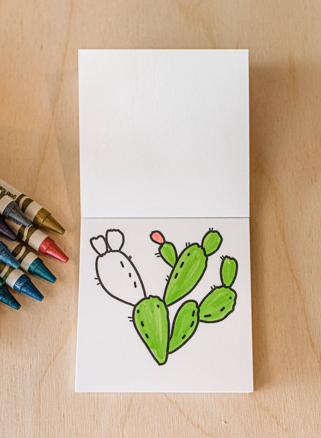 Tiny Texas Themed Illustrations Mini Coloring Book