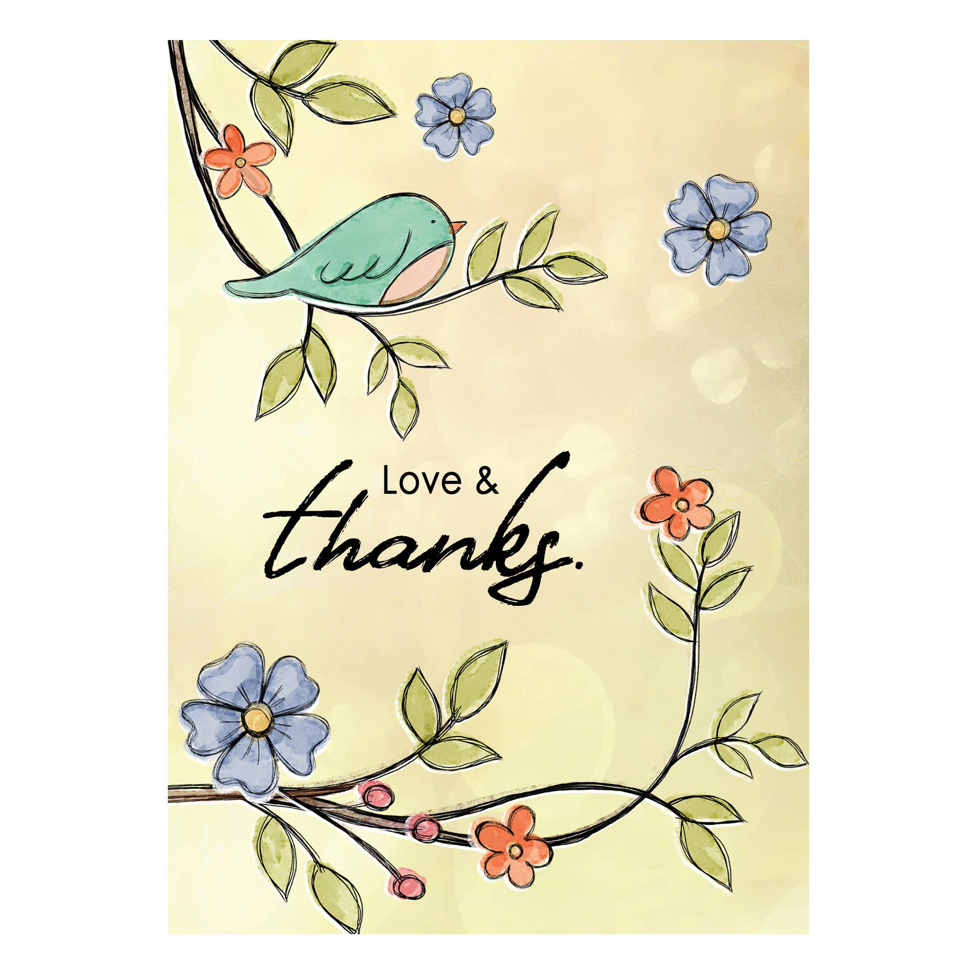 Boxed Cards: Thank you, Bird on Branch Set of 12