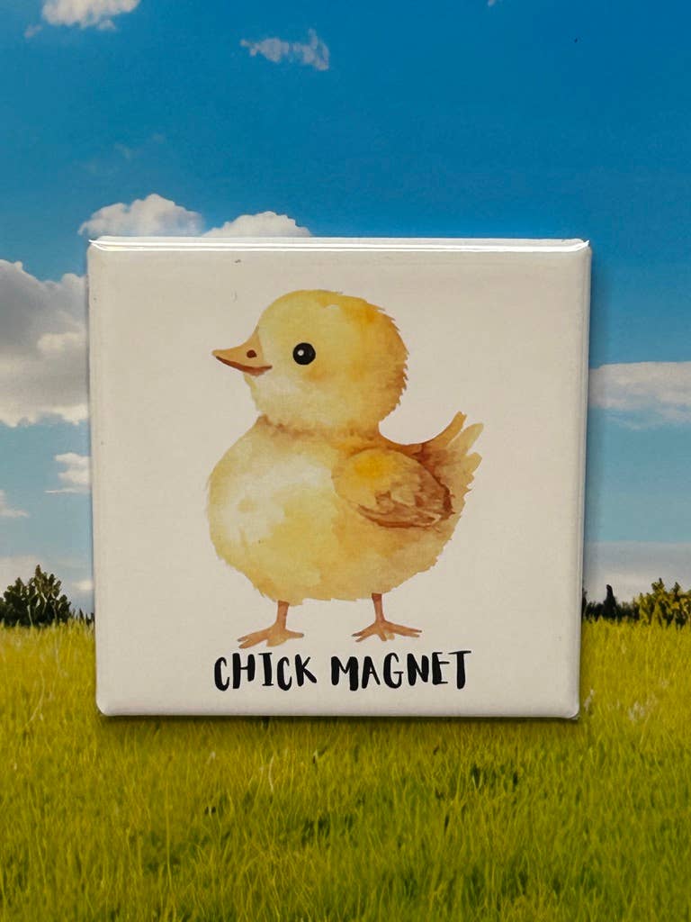 Chick Magnet