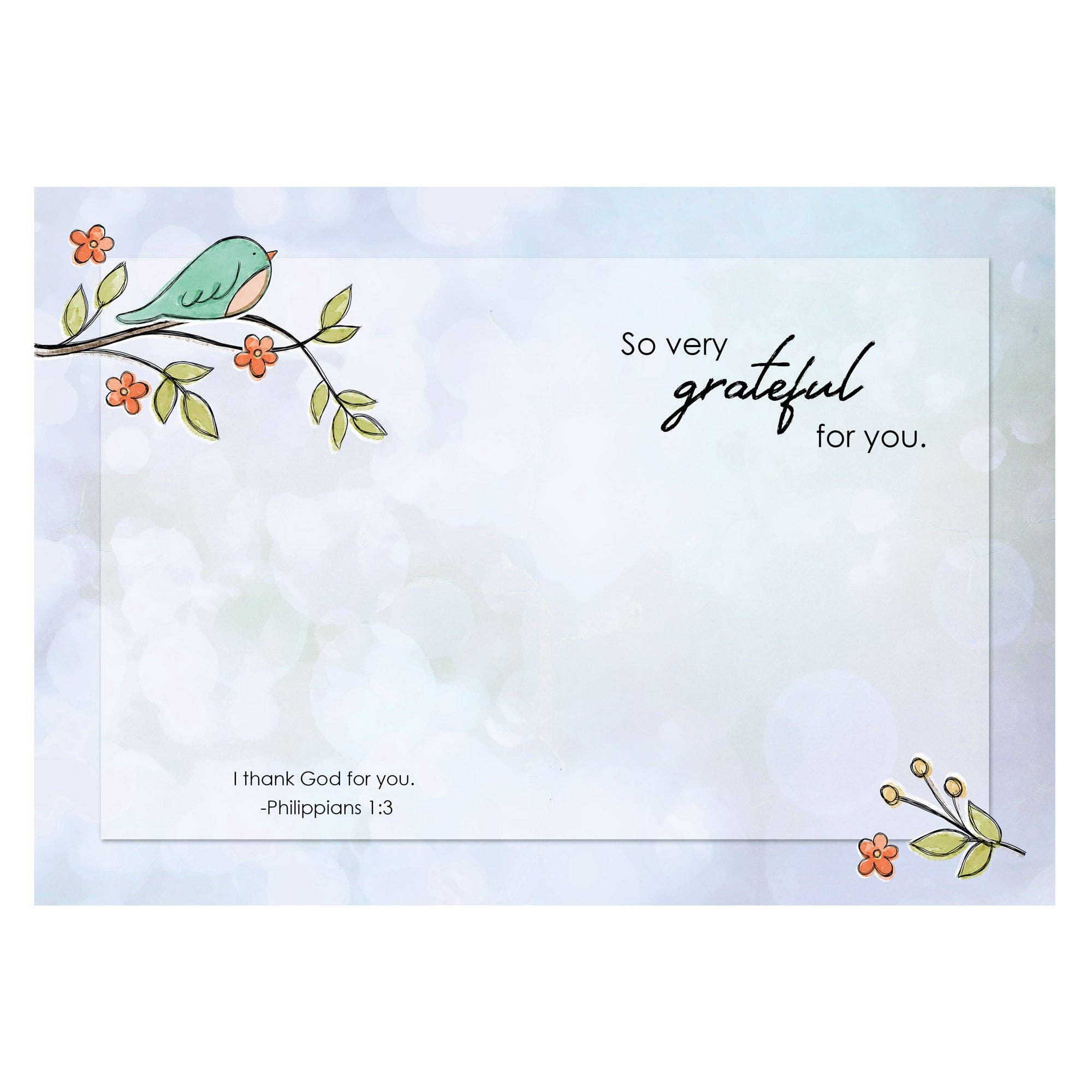 Boxed Cards: Thank you, Bird on Branch Set of 12